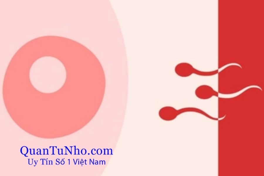 Rủi ro quan hệ ngày đèn đỏ