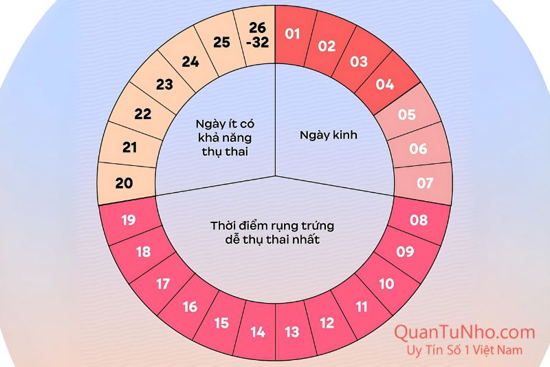 thời điểm rụng trứng