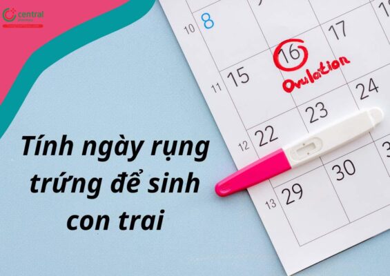 Canh trứng sinh con trai