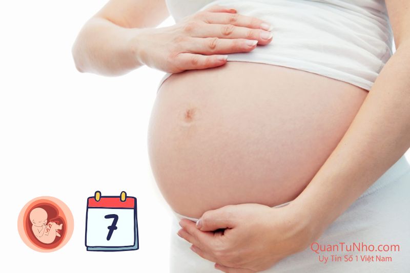 tình trạng thai kỳ bầu 7 tháng