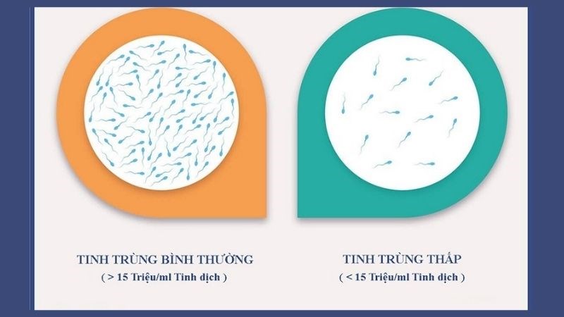 timh trung ít và nhiều