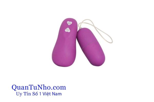 Trứng rung không dây