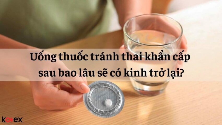 Thuốc khẩn cấp và mối liên quan đến chu kỳ kinh nguyệt