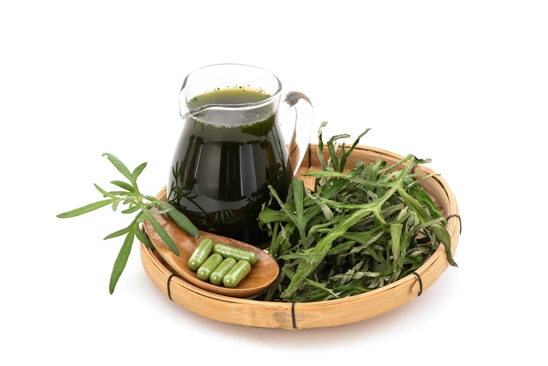 uống nước ngải cứu