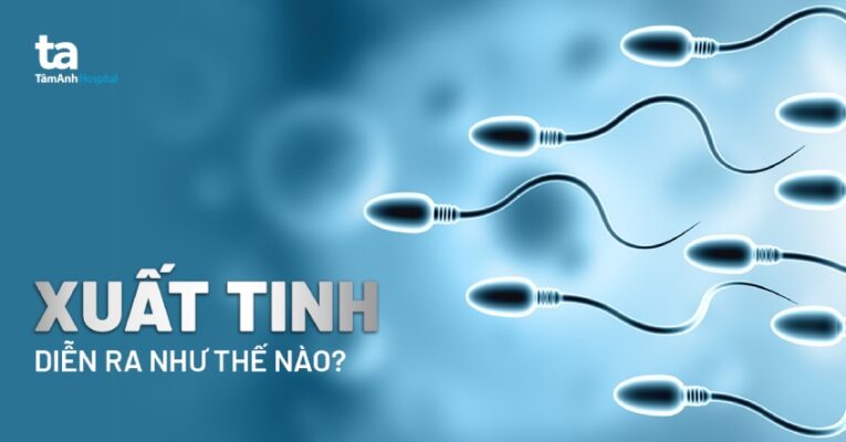 xuất tinh diễn ra như thế nào