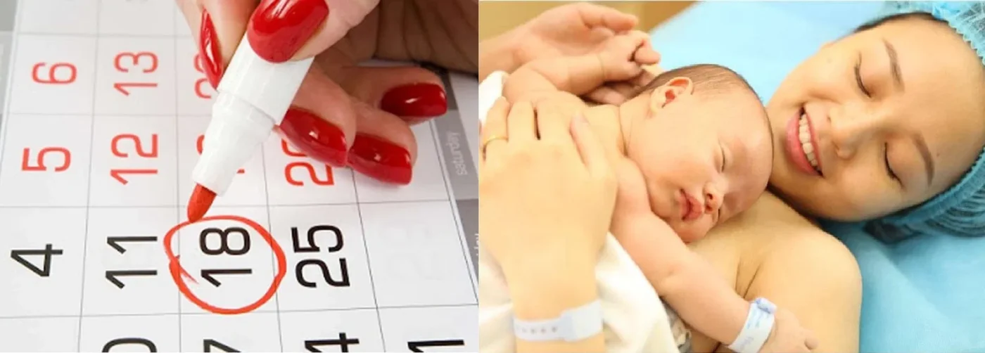 Cách Tính Ngày Rụng Trứng Để Sinh Con Trai
