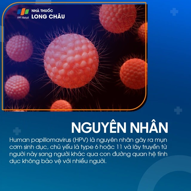 Giải Mã Các Con Đường Lây Nhiễm