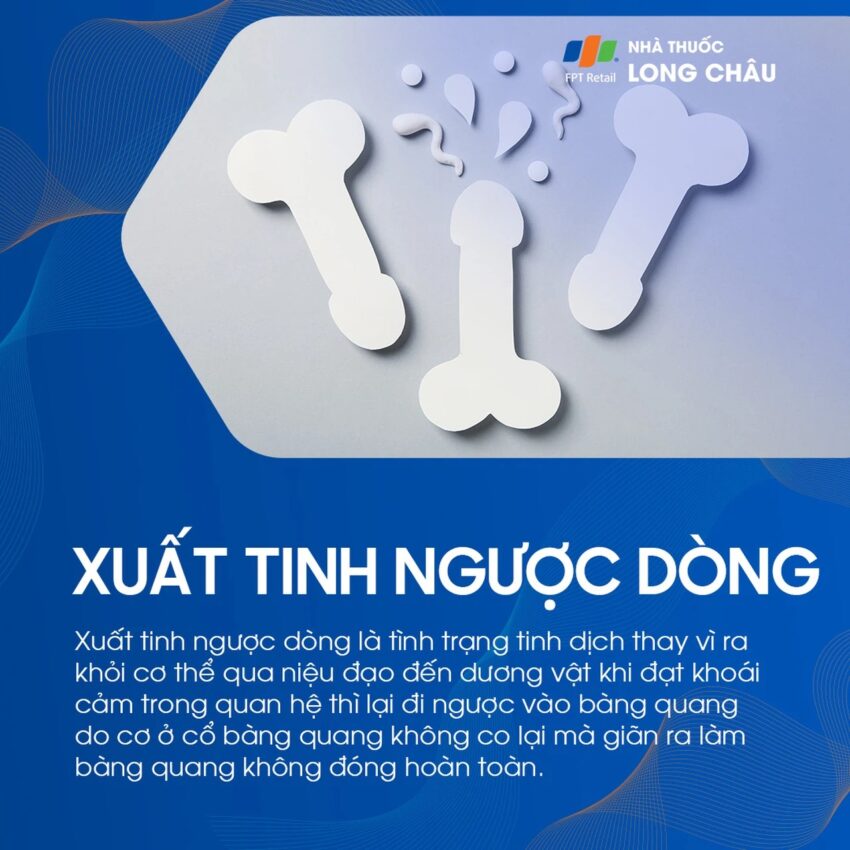 xuất tinh ngược dòng là gì