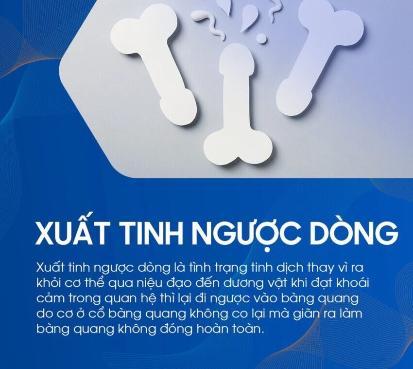 xuất tinh ngược dòng là gì