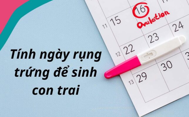 cách tính ngày rụng trứng để sinh con trai
