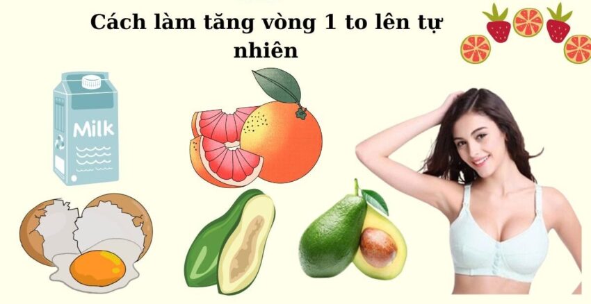 Chế Độ Dinh Dưỡng