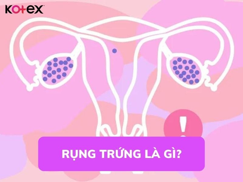 rụng trứng là sao