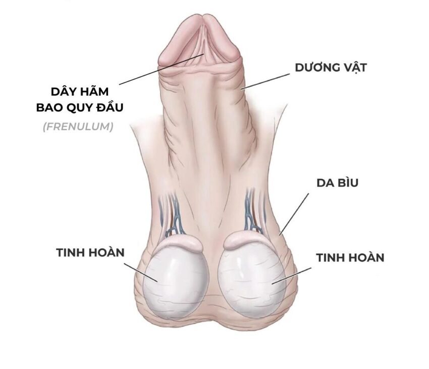Bên Ngoài