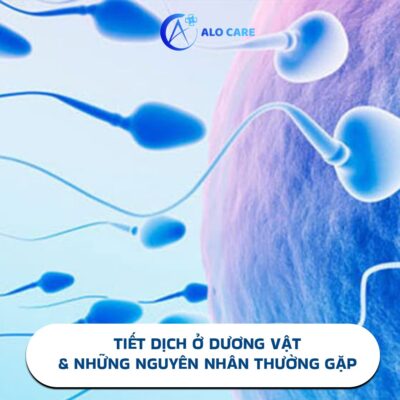 dương vật dịch
