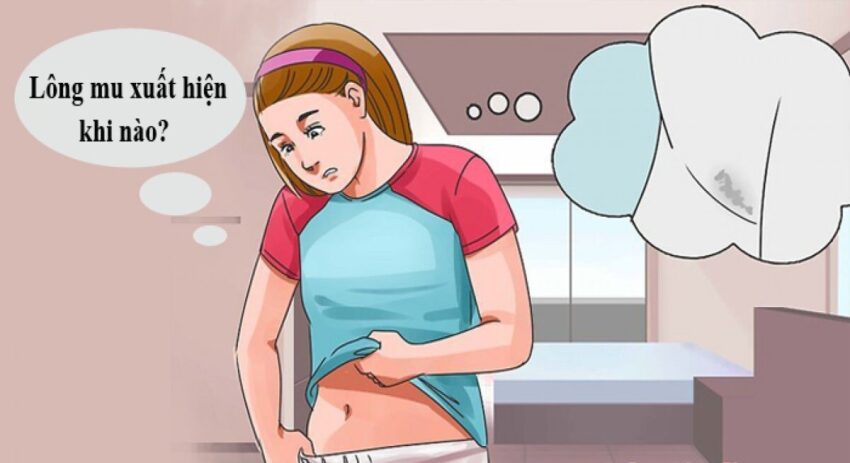 Tín Hiệu Của Sự Trưởng Thành