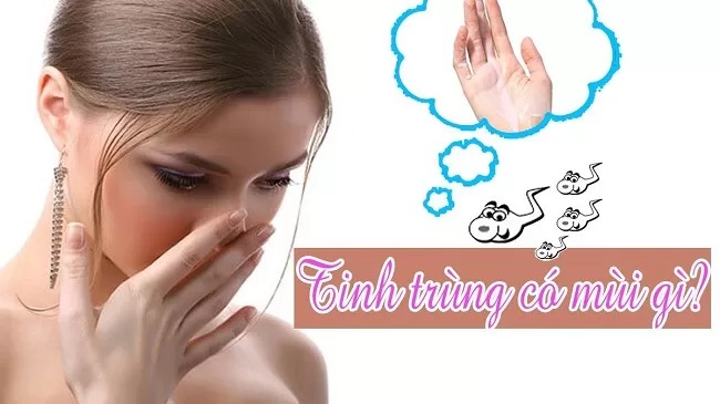 tinh dịch có vị gì