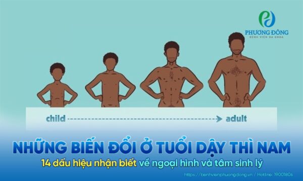 dấu hiệu kết thúc tuổi dậy thì nam