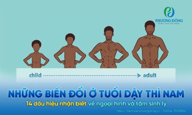 dấu hiệu kết thúc tuổi dậy thì nam