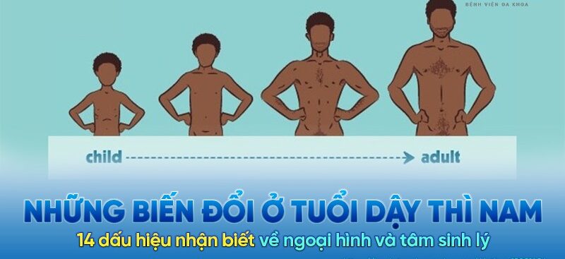 dấu hiệu kết thúc tuổi dậy thì nam