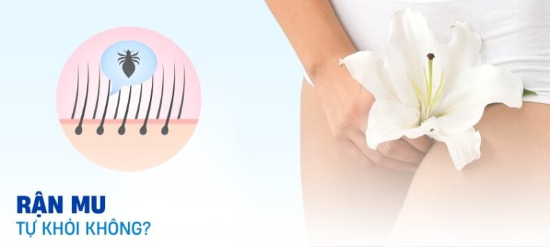 rận mu có tự hết không