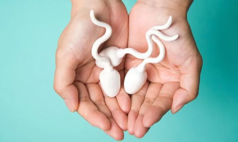Năm Yếu Tố Phải Cùng Lúc Hội Tụ