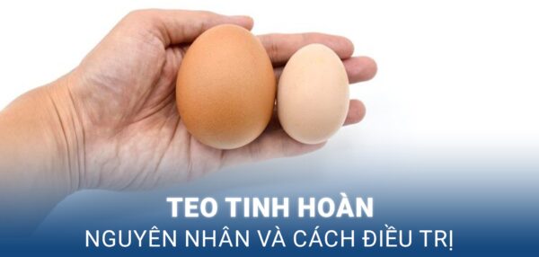 teo tinh hoàn là gì