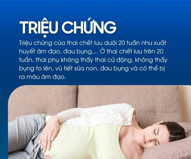 Dấu Hiệu Cảnh Báo Sớm