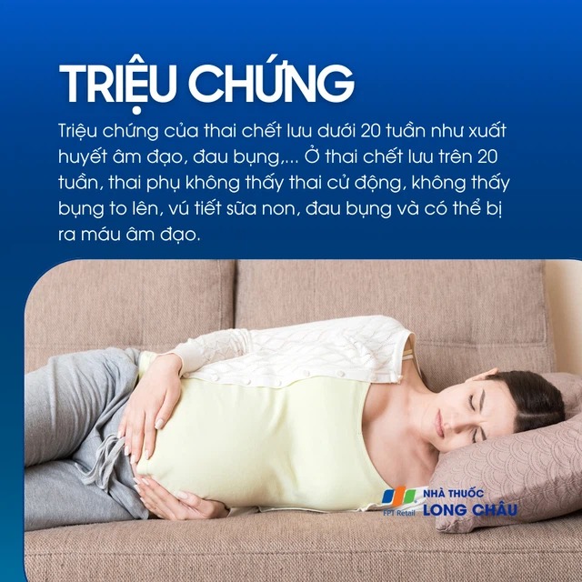 Dấu Hiệu Cảnh Báo Sớm
