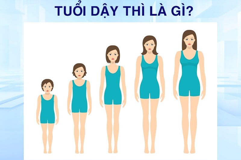 Chiều cao ngừng phát triển