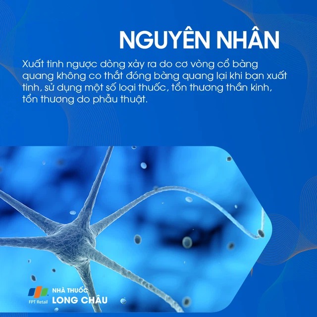 Thủ Phạm