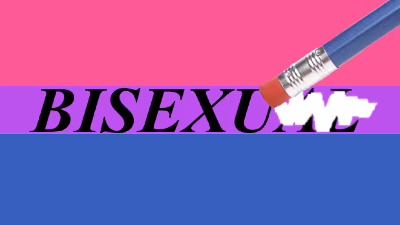 Bisexual Erasure