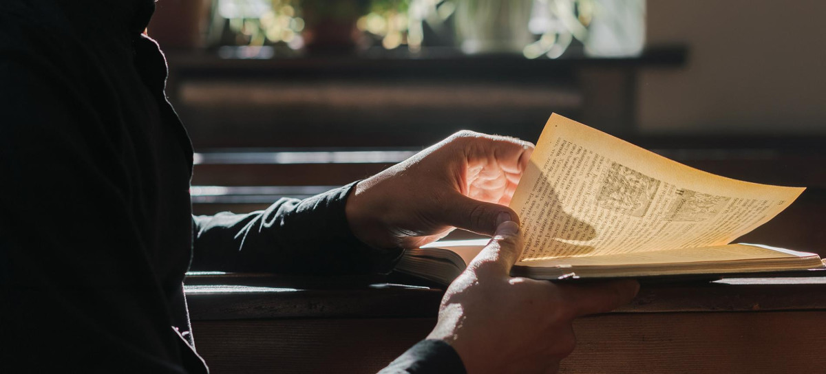 Liberosis: Định nghĩa, Nguồn gốc, Dấu hiệu và Cách ứng dụng 9 Đọc sách