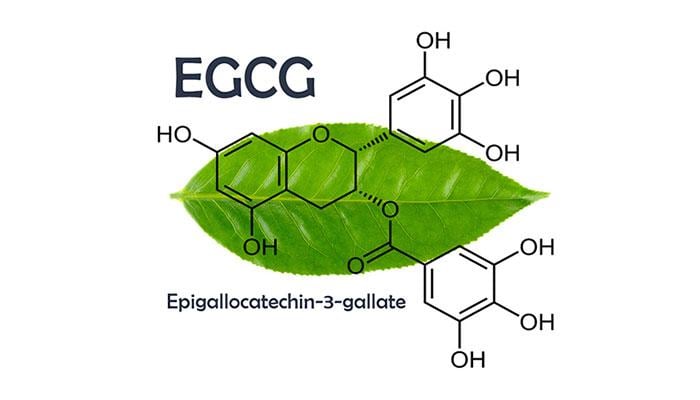 Rửa Nước Chè Xanh Cho Vùng Kín Có Tốt Không: Lợi Ích, Rủi Ro và Hướng Dẫn An Toàn 2 Epigallocatechin gallate