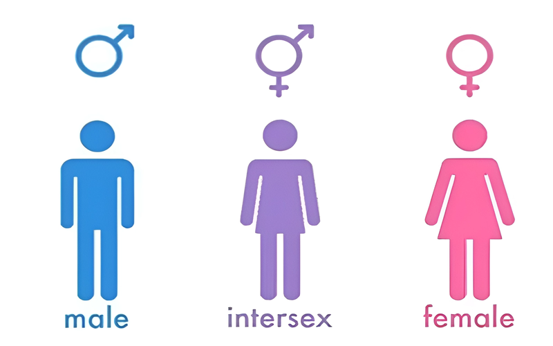 Intersex