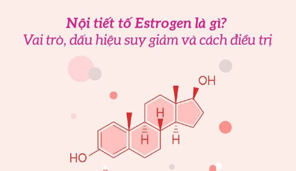 Vai Trò Của Estrogen Đối Với Phụ Nữ