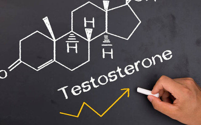 Testosterone Cao: "Vua" Hay "Giặc"? Dấu Hiệu, Nguyên Nhân Và Cách Xử Lý Tận Gốc 108 Testosterone Cao