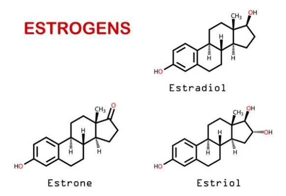Bổ sung Estrogen như thế nào: Giải đáp Vai trò, Dấu hiệu, Phương pháp và Rủi ro 7 cac loai estrogens