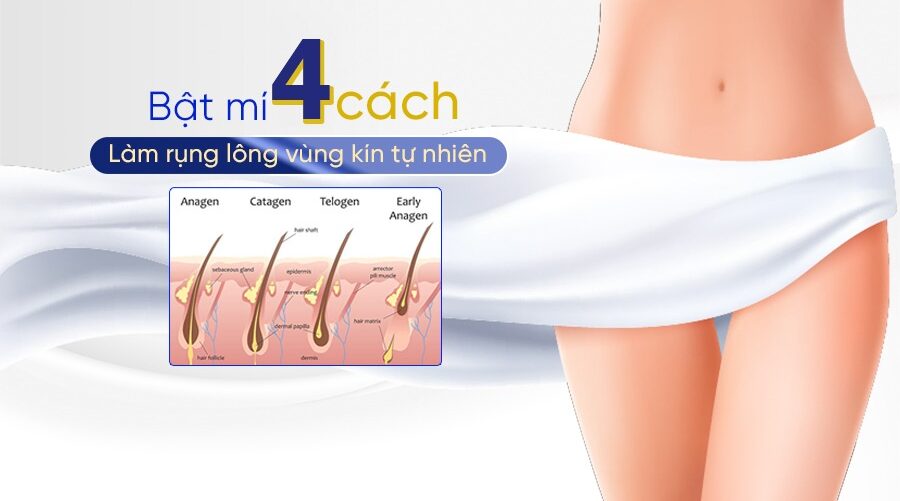 cách làm rụng lông vùng kín tự nhiên