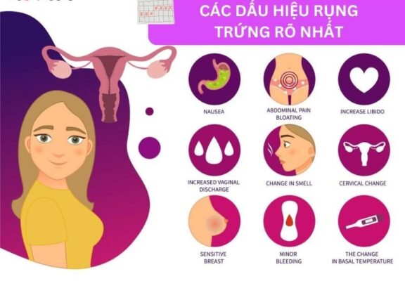 dấu hiệu rụng trứng là gì