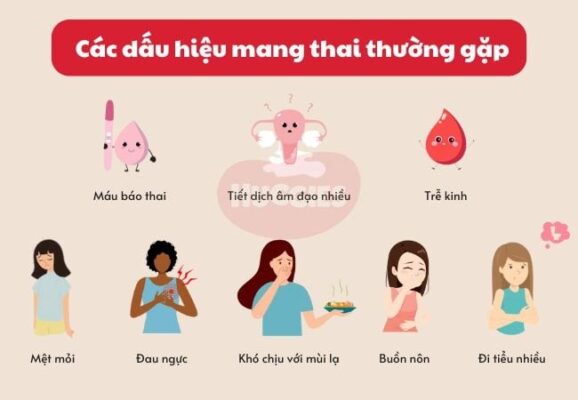 Dấu Hiệu Mang Thai