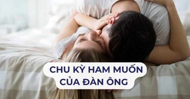 Chu kỳ ham muốn của đàn ông: Đặc điểm, Các giai đoạn, Yếu tố ảnh hưởng và Cách duy trì 1 chu kỳ ham muốn của đàn ông