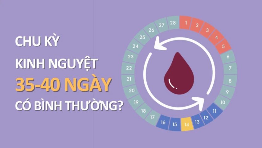 Công Thức “Vàng”