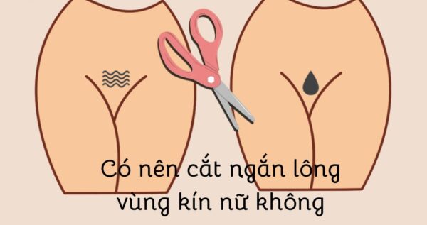có nên cắt ngắn lông vùng kín nữ không