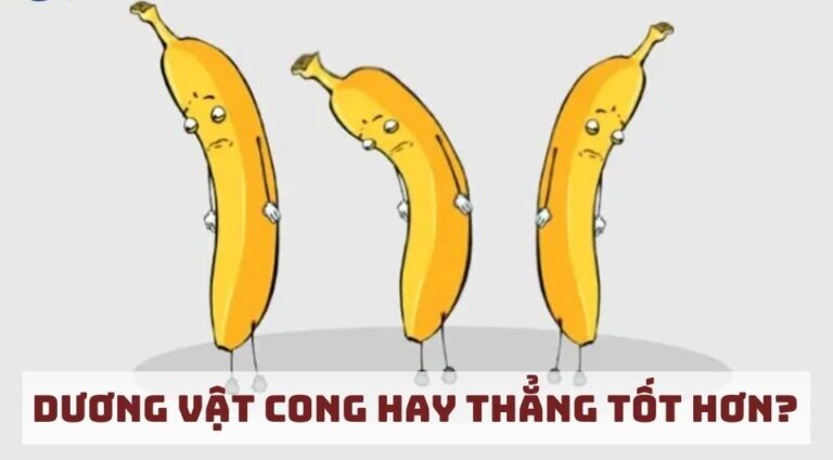 dương vật cong hay thẳng tốt hơn