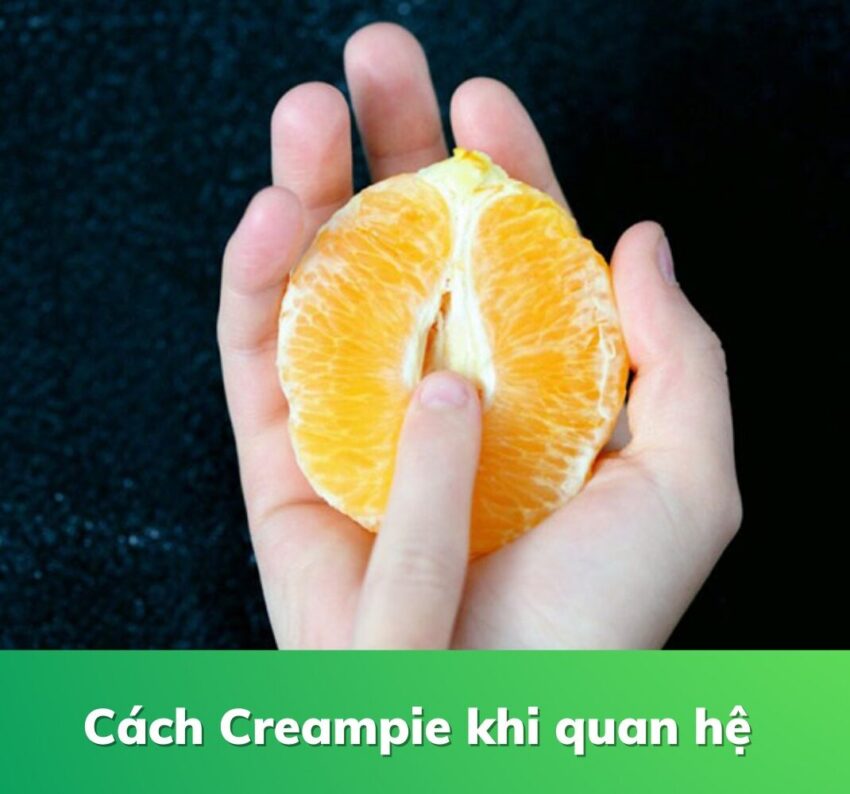 Chất Xúc Tác Cho Trải Nghiệm Thăng Hoa