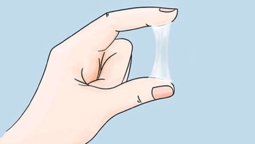 Dịch Nhầy Cổ Tử Cung
