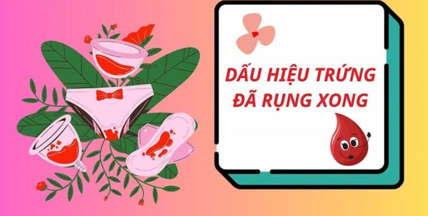 dấu hiệu trứng đã rụng xong
