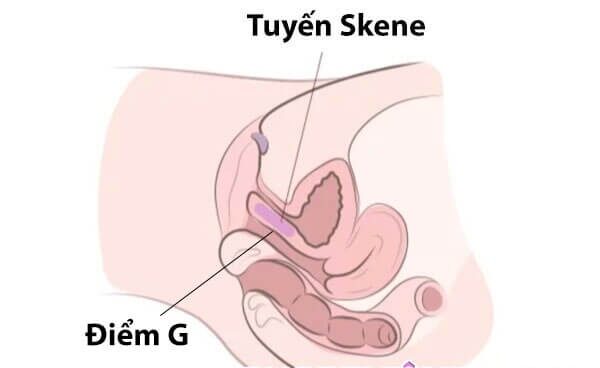 cách móc lồn sướng