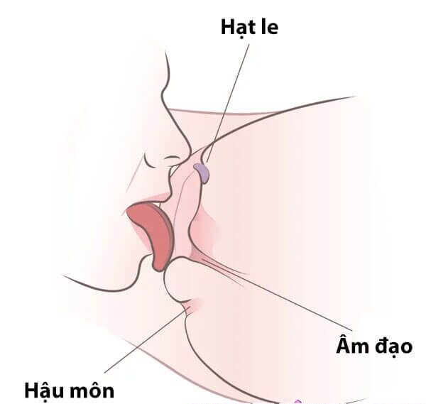 Điều Khiển Tốc Độ Và Áp Lực