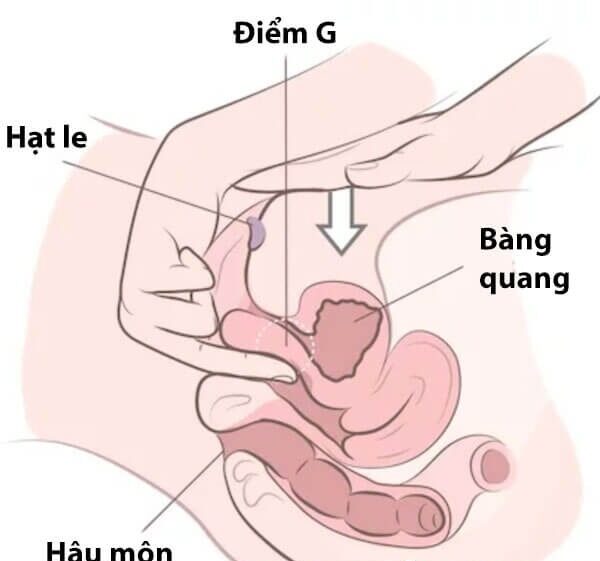 Gây Bất Ngờ Và Bao Phủ Toàn Diện